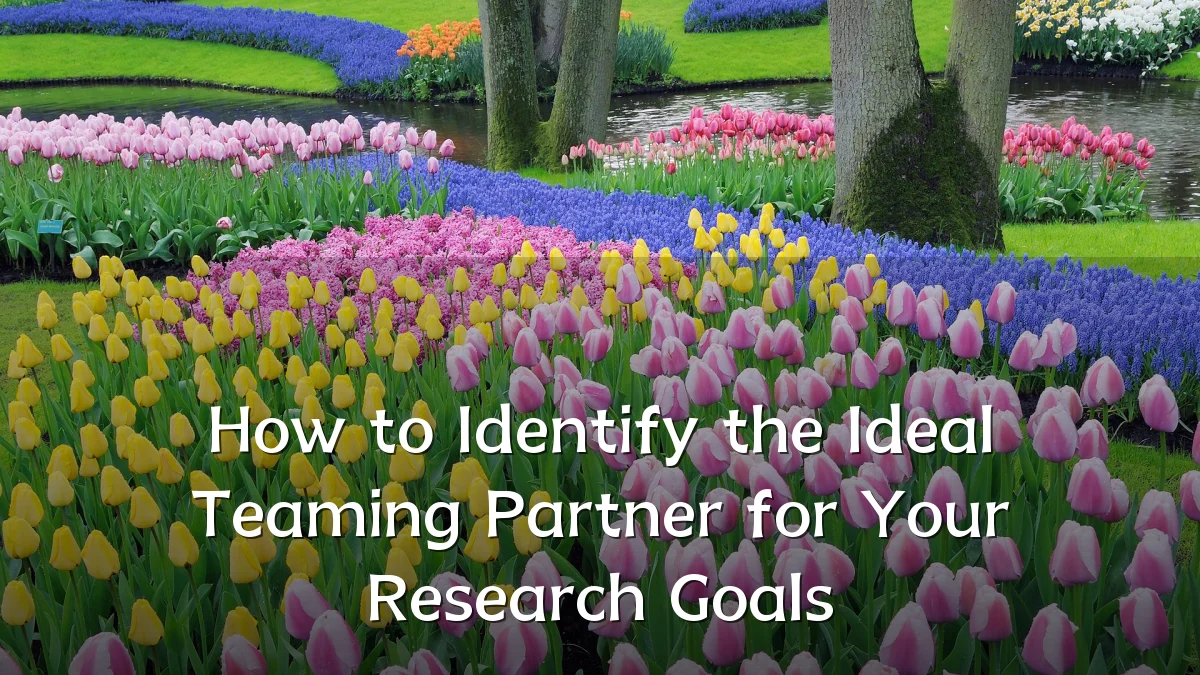 How to Identify the Ideal Teaming Partner for Your Research Goals