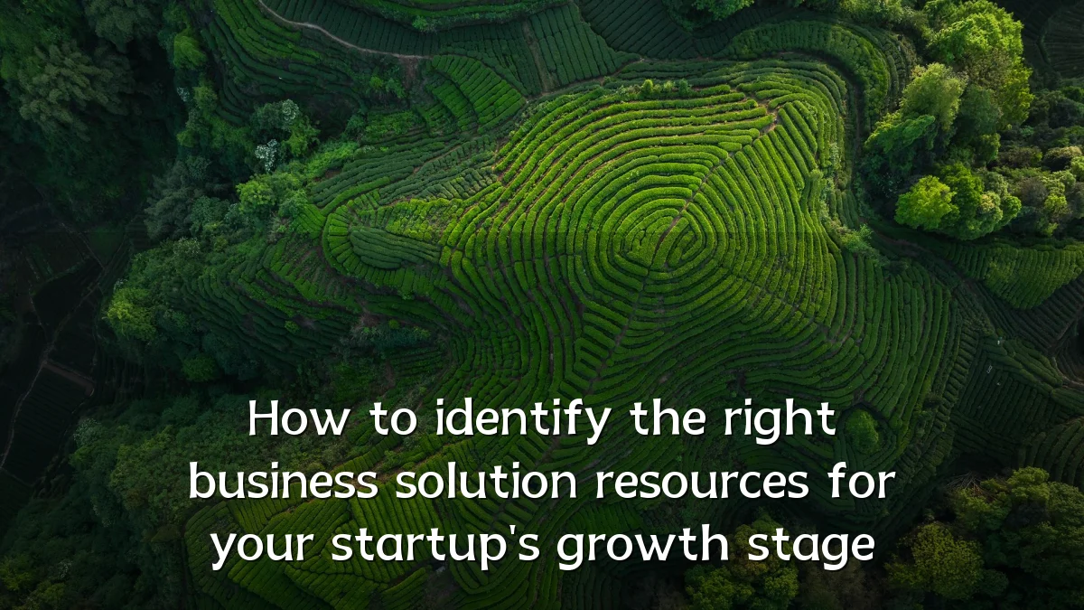 How to identify the right business solution resources for your startup's growth stage