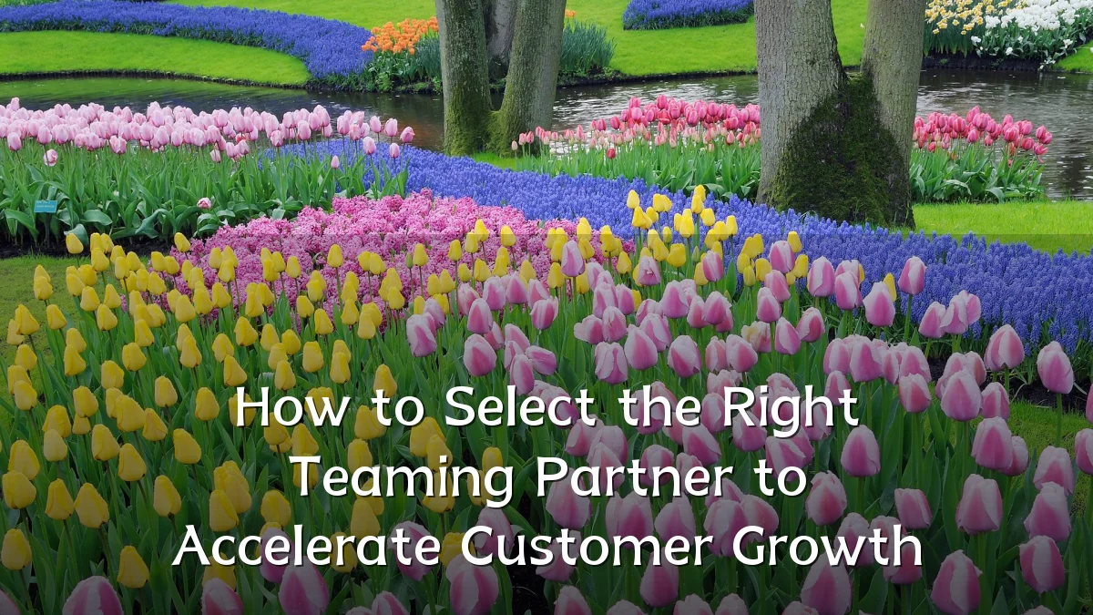 How to Select the Right Teaming Partner to Accelerate Customer Growth