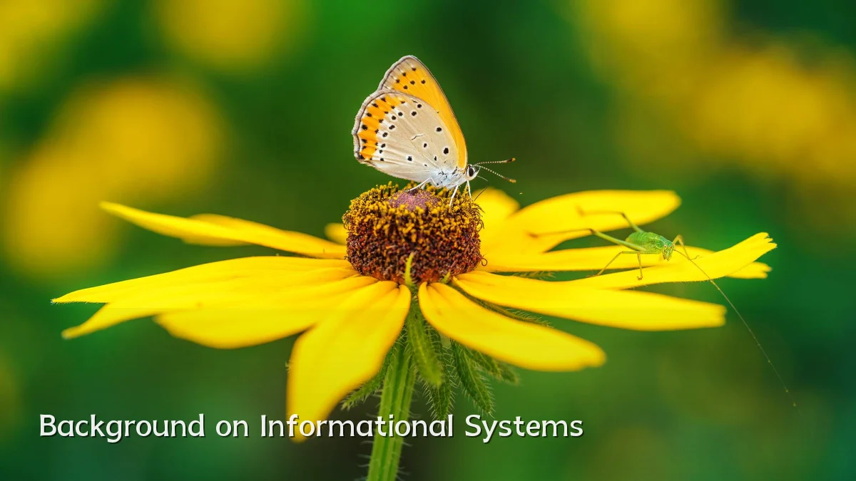 Background on Informational Systems