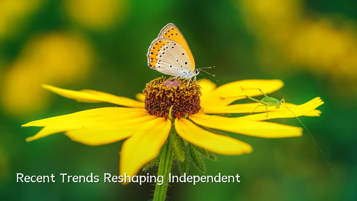 Recent Trends Reshaping Independent