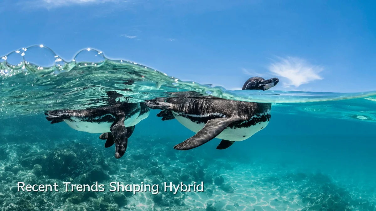 Recent Trends Shaping Hybrid