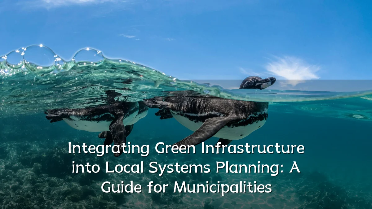 Integrating Green Infrastructure into Local Systems Planning: A Guide for Municipalities