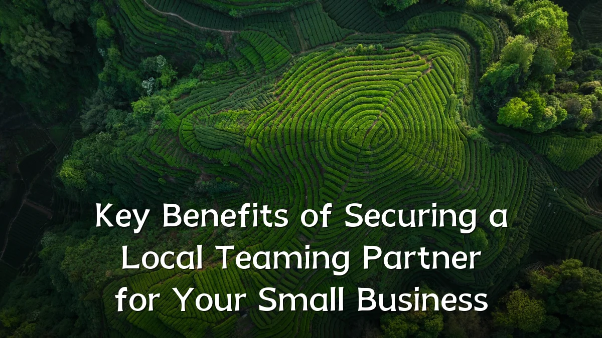 Key Benefits of Securing a Local Teaming Partner for Your Small Business