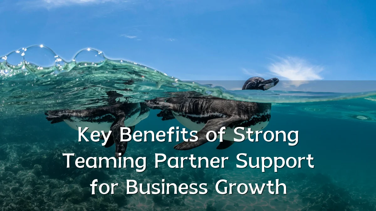 Key Benefits of Strong Teaming Partner Support for Business Growth