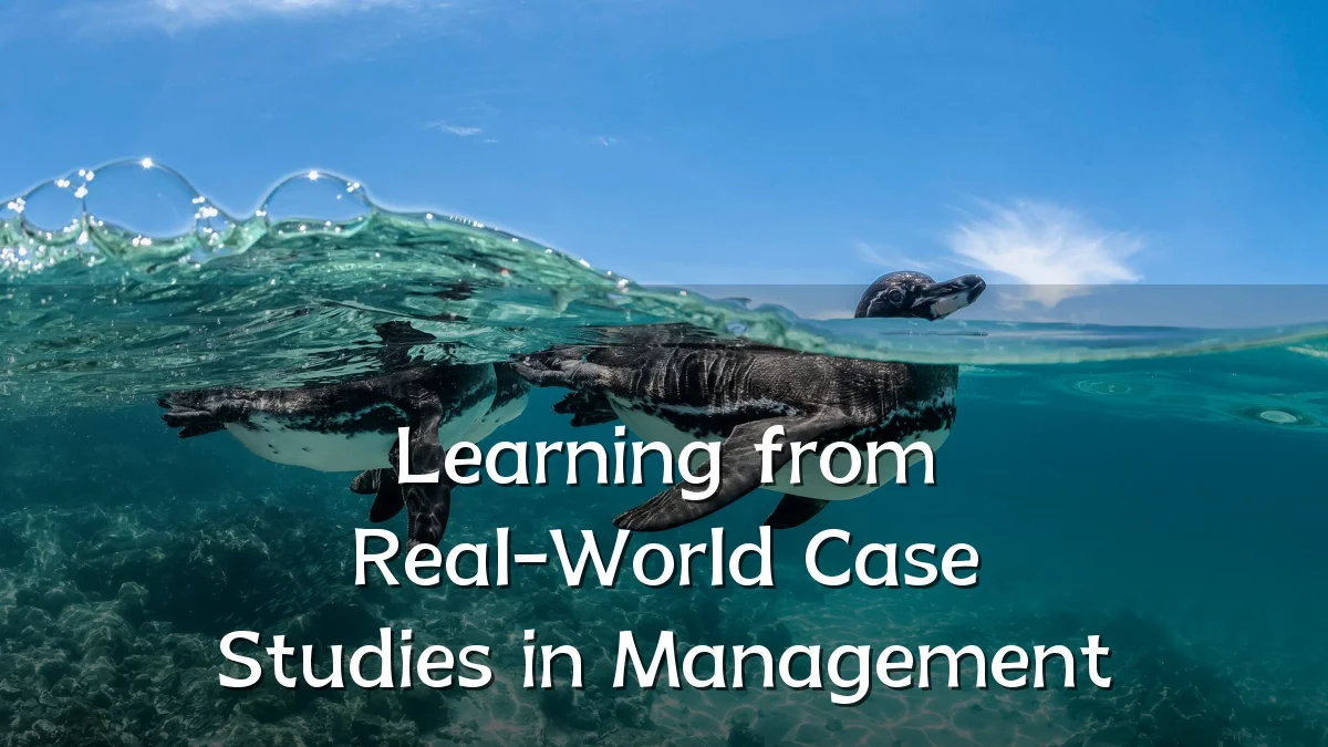 Learning from Real-World Case Studies in Management
