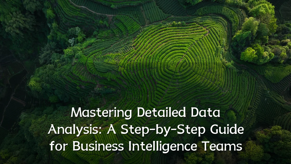 Mastering Detailed Data Analysis: A Step-by-Step Guide for Business Intelligence Teams