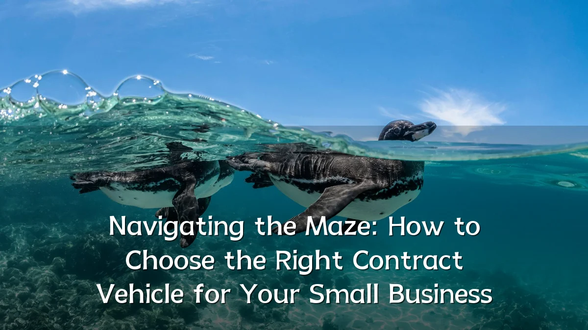 Navigating the Maze: How to Choose the Right Contract Vehicle for Your Small Business