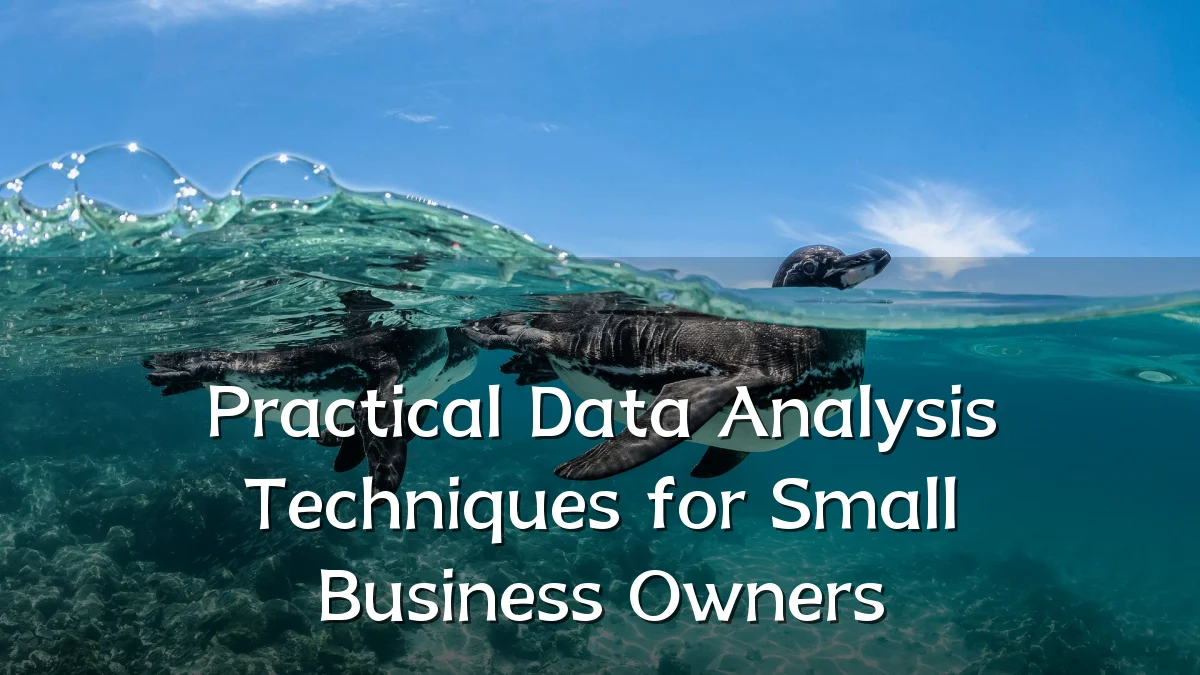 Practical Data Analysis Techniques for Small Business Owners