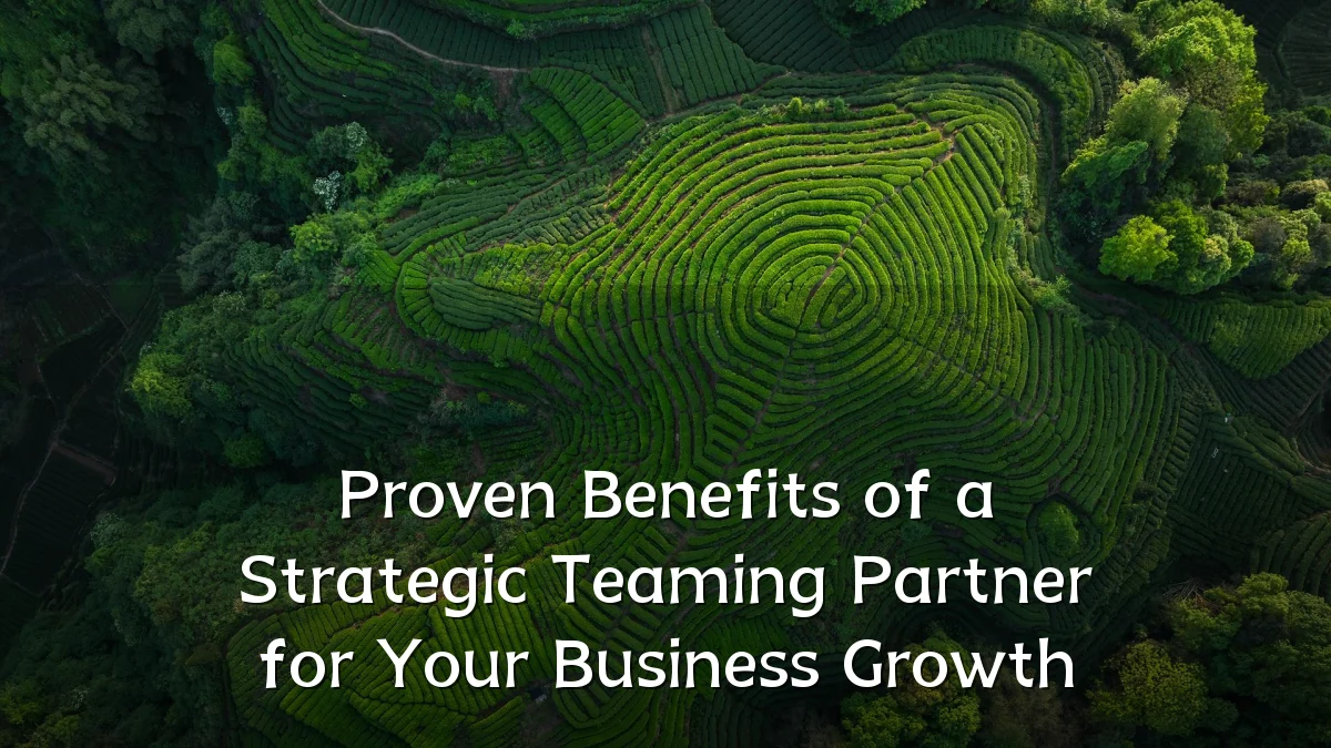 Proven Benefits of a Strategic Teaming Partner for Your Business Growth
