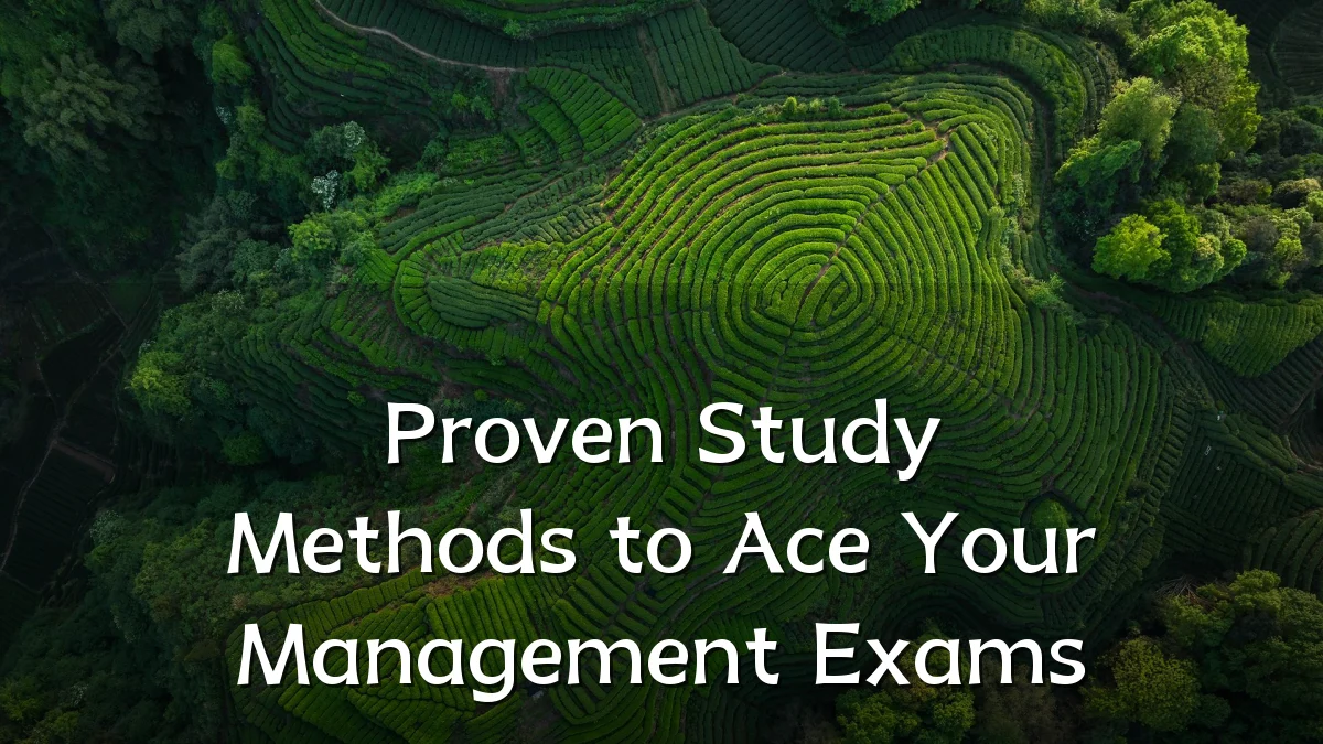 Proven Study Methods to Ace Your Management Exams