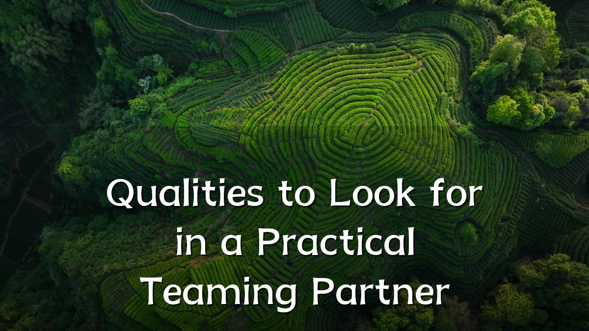 Qualities to Look for in a Practical Teaming Partner