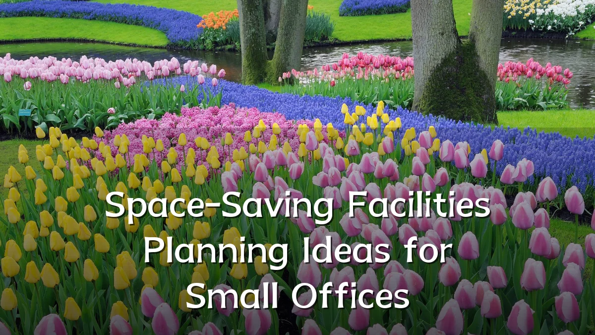 Space-Saving Facilities Planning Ideas for Small Offices