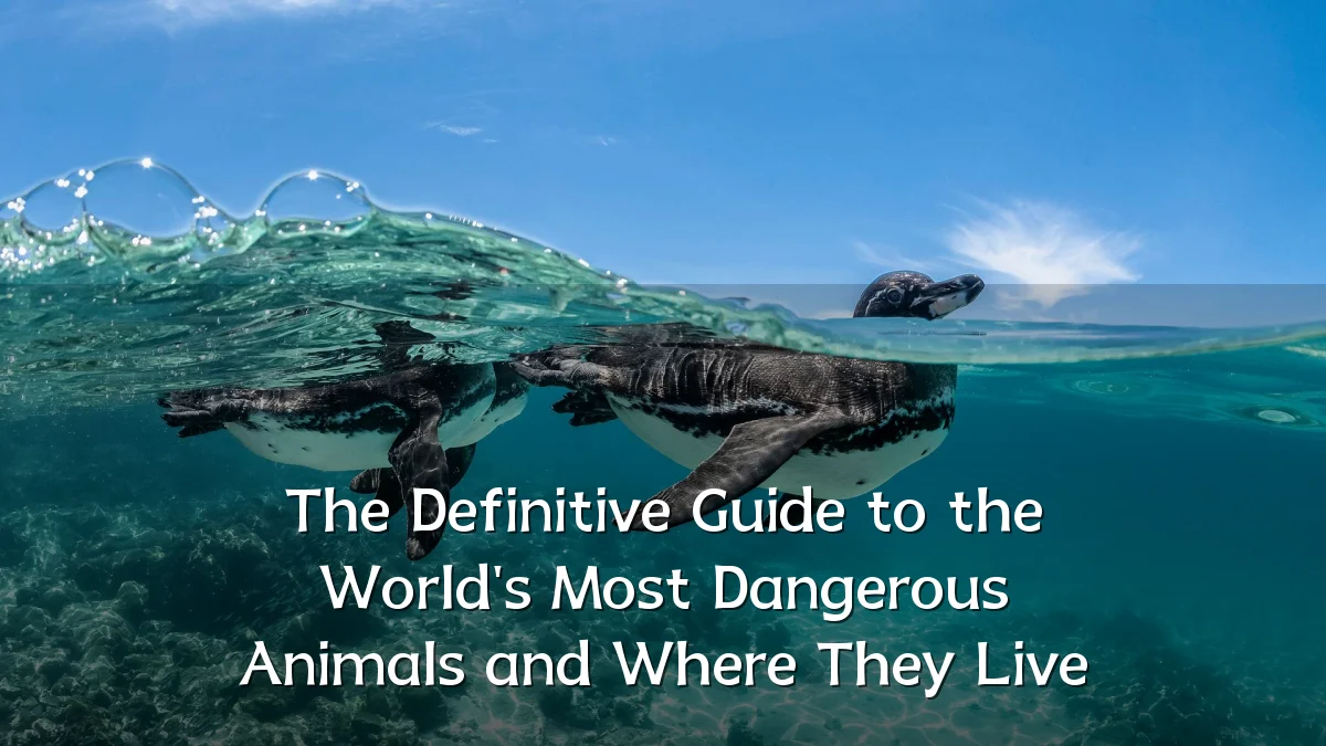 The Definitive Guide to the World's Most Dangerous Animals and Where They Live