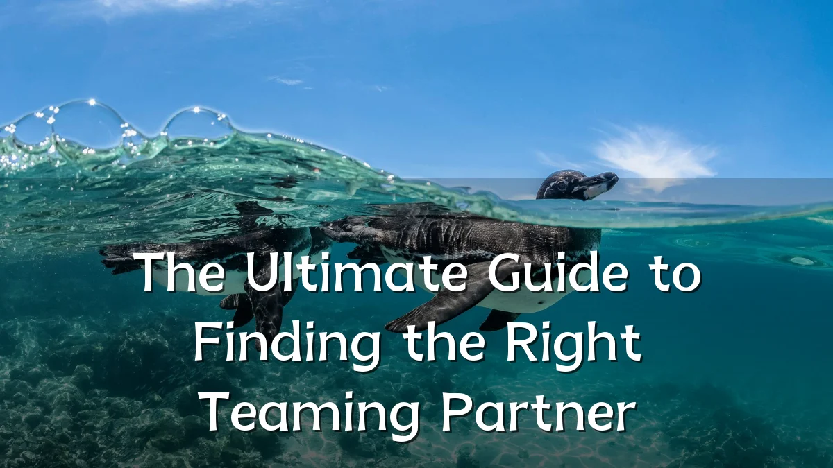 The Ultimate Guide to Finding the Right Teaming Partner
