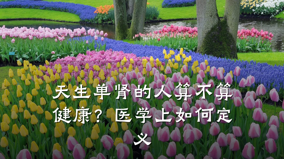 天生单肾的人算不算健康?医学上如何定义