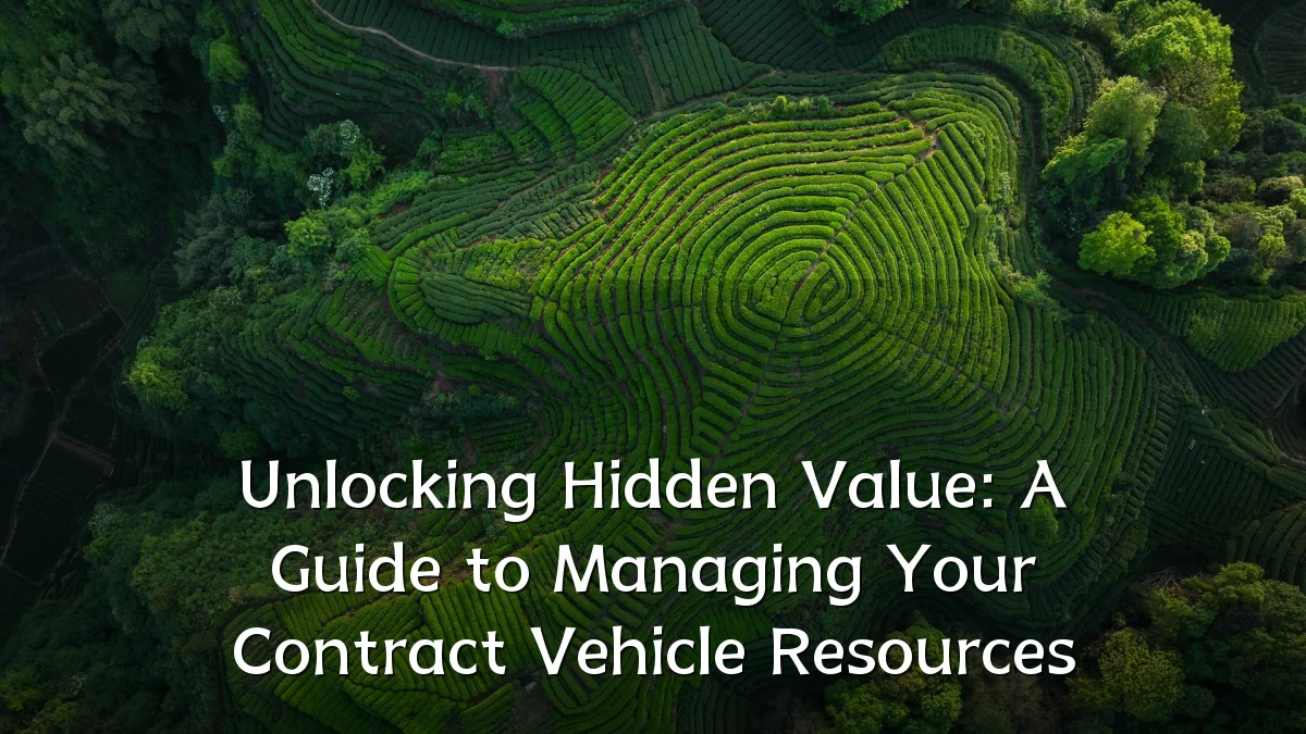 Unlocking Hidden Value: A Guide to Managing Your Contract Vehicle Resources