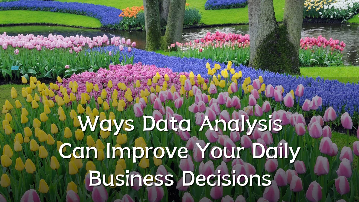 Ways Data Analysis Can Improve Your Daily Business Decisions