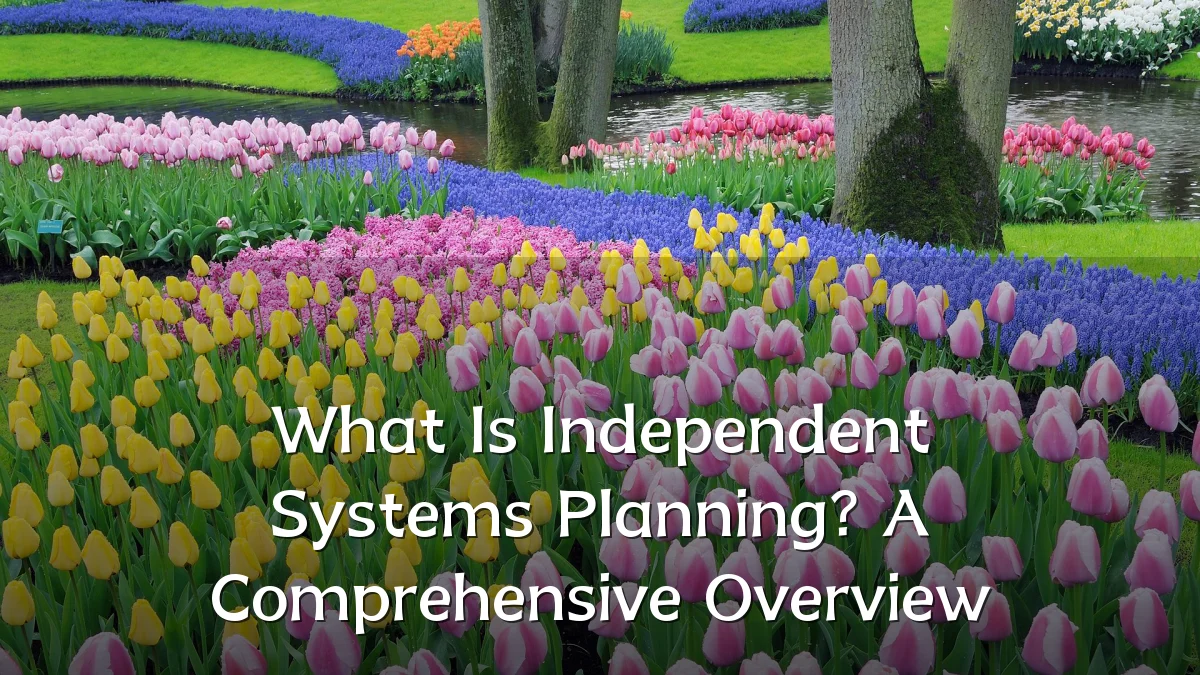 What Is Independent Systems Planning? A Comprehensive Overview
