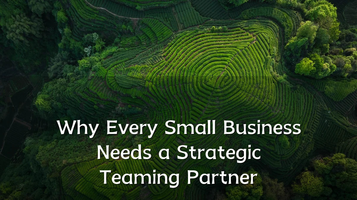 Why Every Small Business Needs a Strategic Teaming Partner