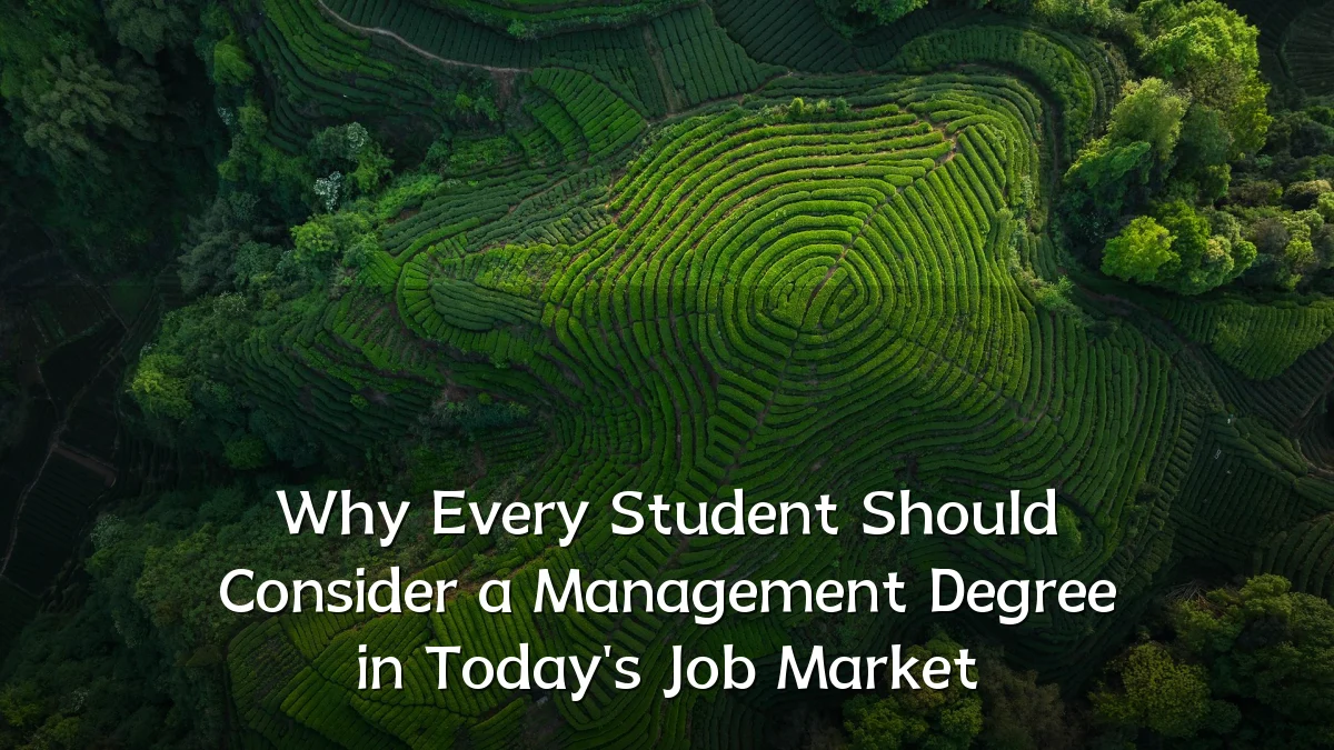 Why Every Student Should Consider a Management Degree in Today's Job Market