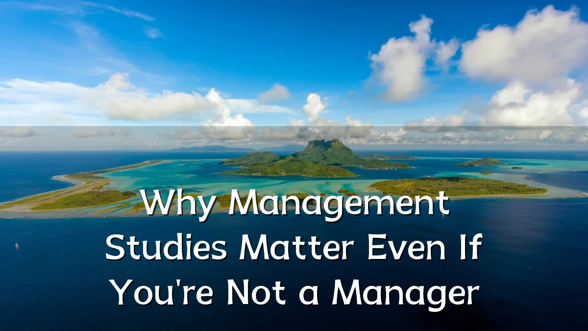 Why Management Studies Matter Even If You're Not a Manager
