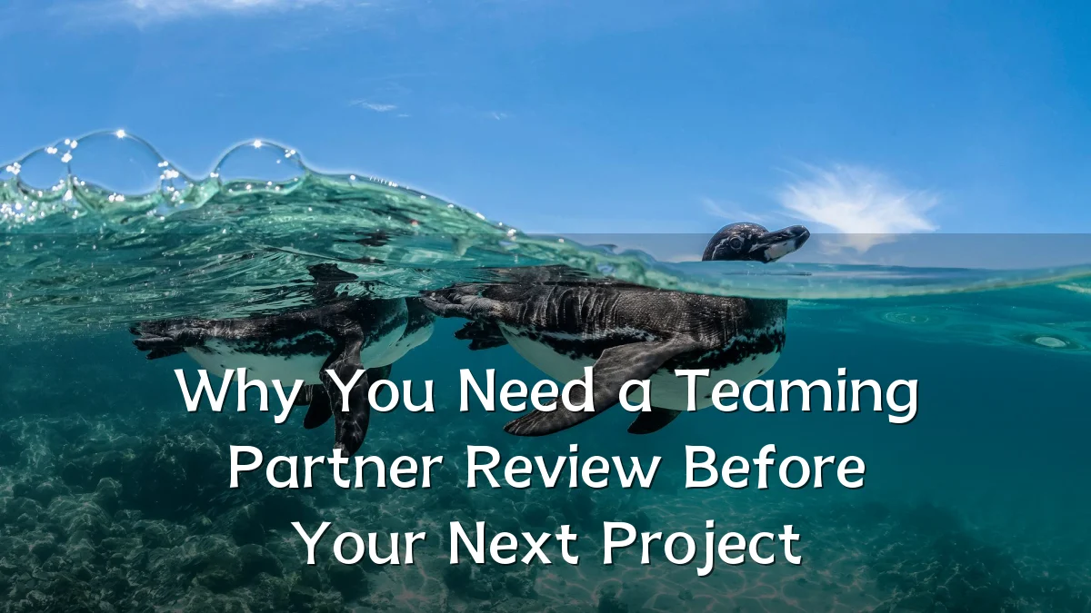 Why You Need a Teaming Partner Review Before Your Next Project