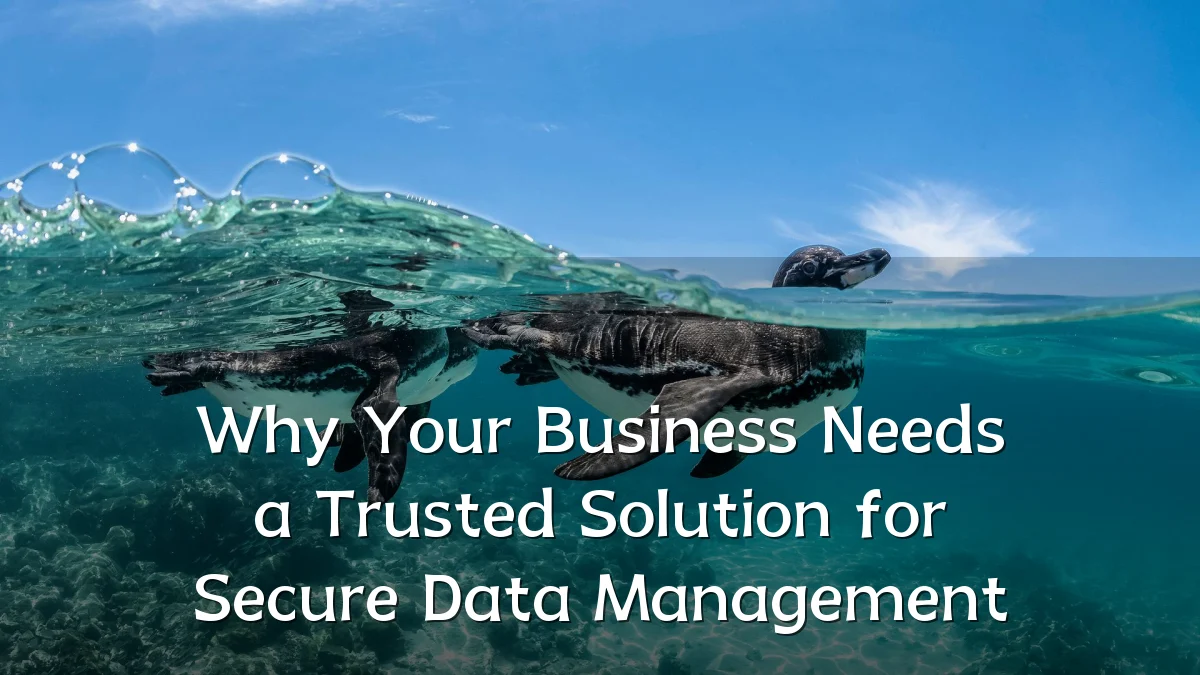 Why Your Business Needs a Trusted Solution for Secure Data Management