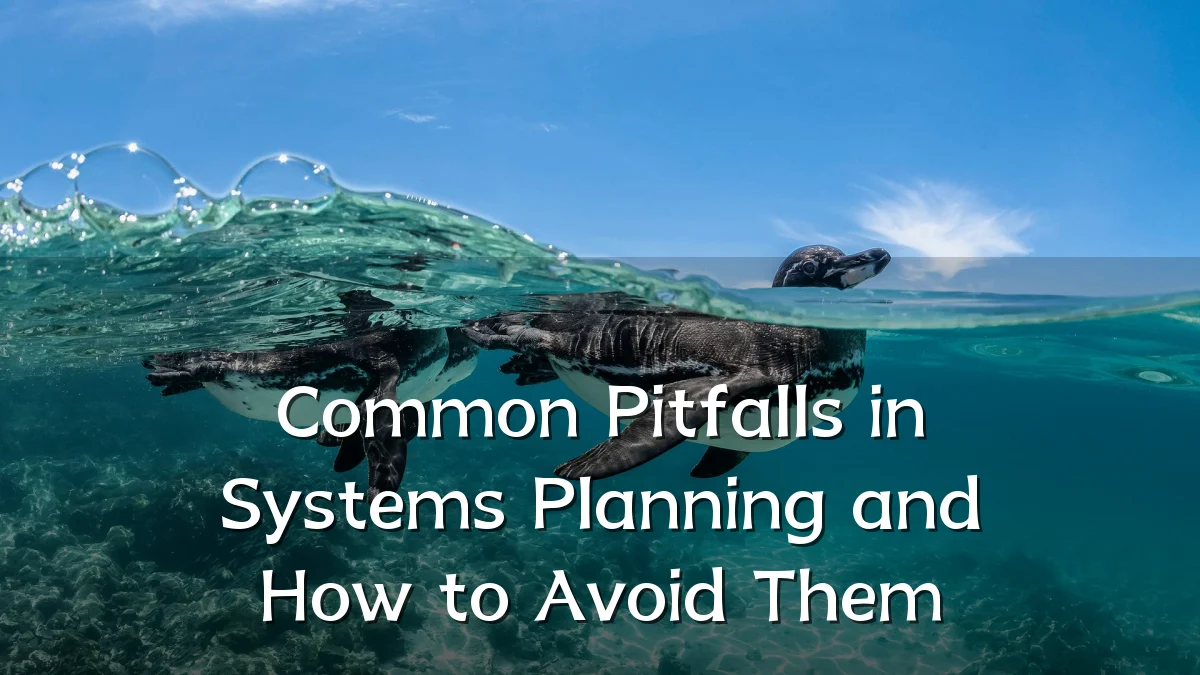 Common Pitfalls in Systems Planning and How to Avoid Them