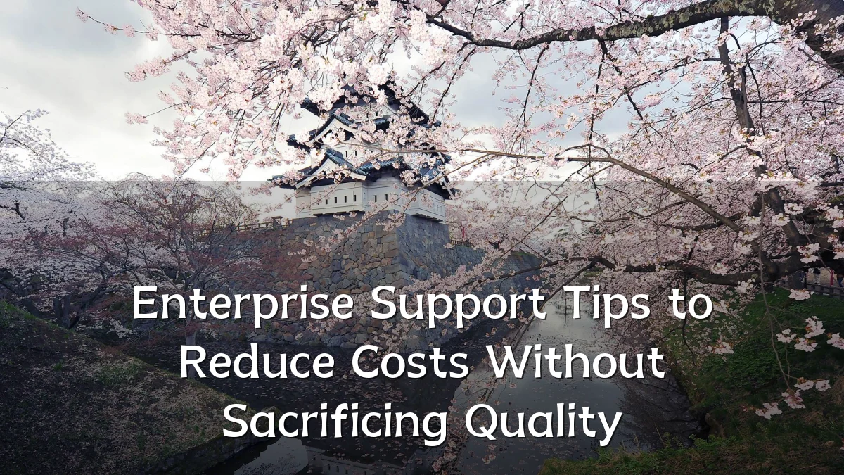 Enterprise Support Tips to Reduce Costs Without Sacrificing Quality