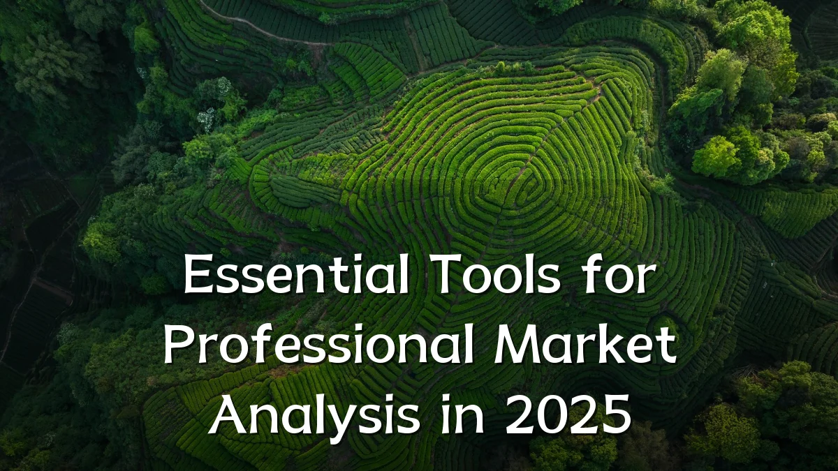 Essential Tools for Professional Market Analysis in 2025