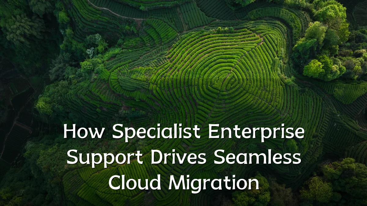 How Specialist Enterprise Support Drives Seamless Cloud Migration