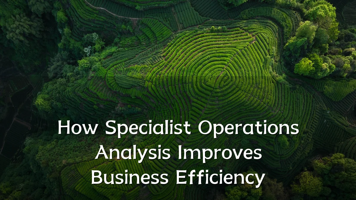 How Specialist Operations Analysis Improves Business Efficiency