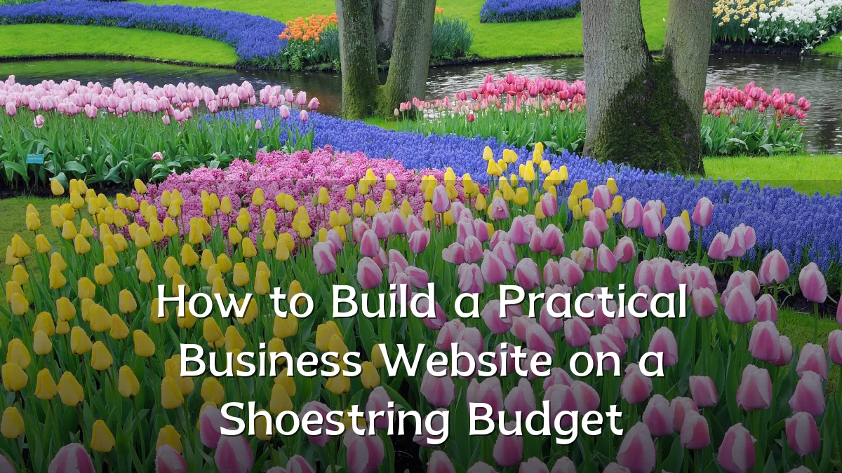 How to Build a Practical Business Website on a Shoestring Budget