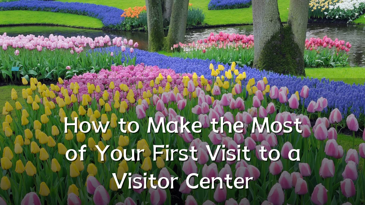 How to Make the Most of Your First Visit to a Visitor Center