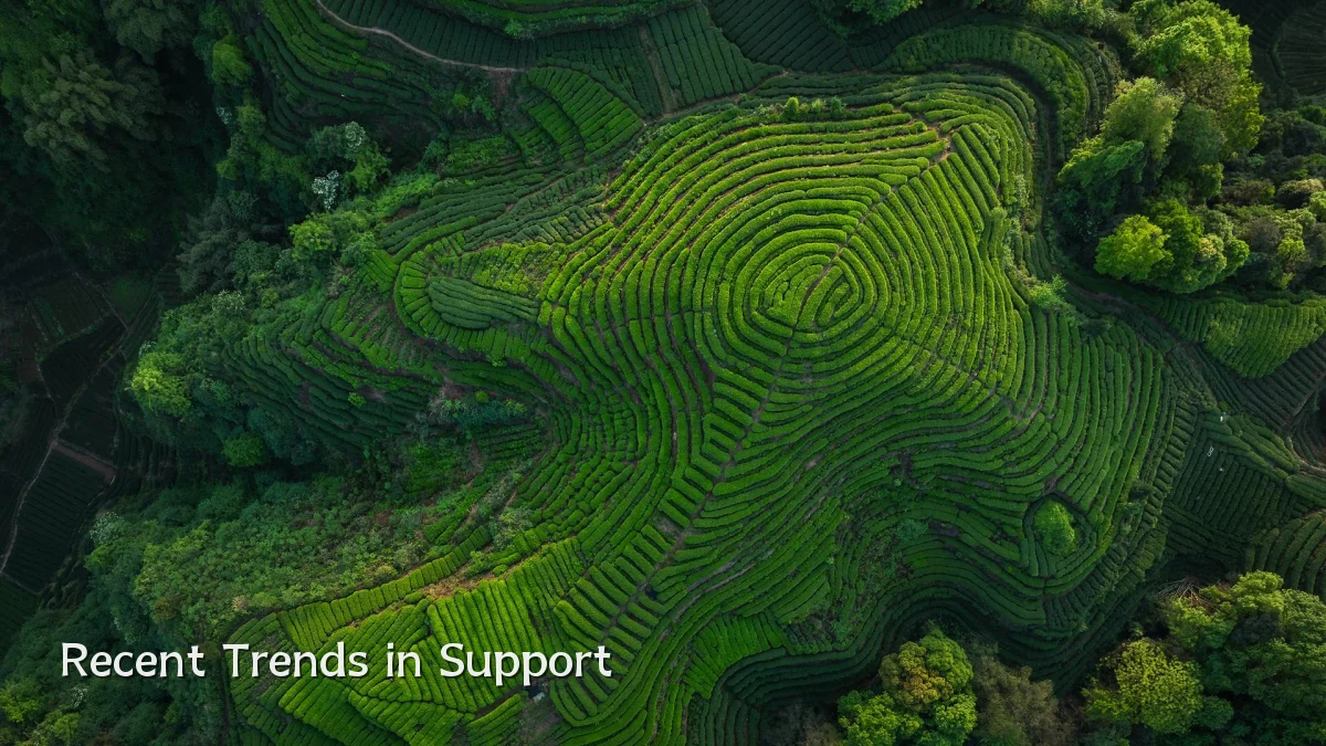 Recent Trends in Support