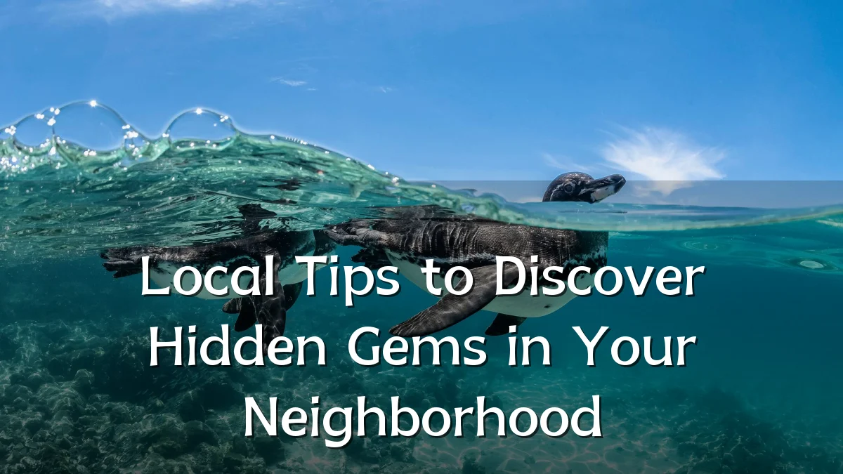 Local Tips to Discover Hidden Gems in Your Neighborhood