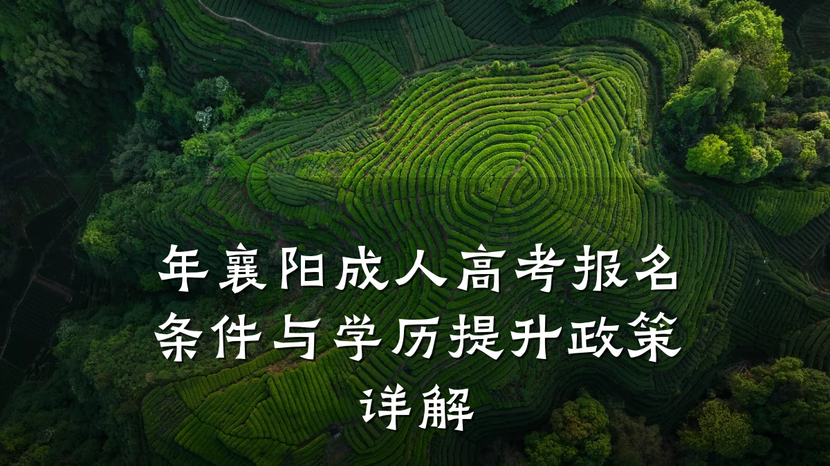 年襄阳成人高考报名条件与学历提升政策详解