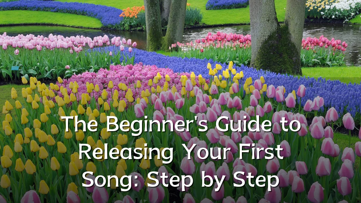 The Beginner's Guide to Releasing Your First Song: Step by Step