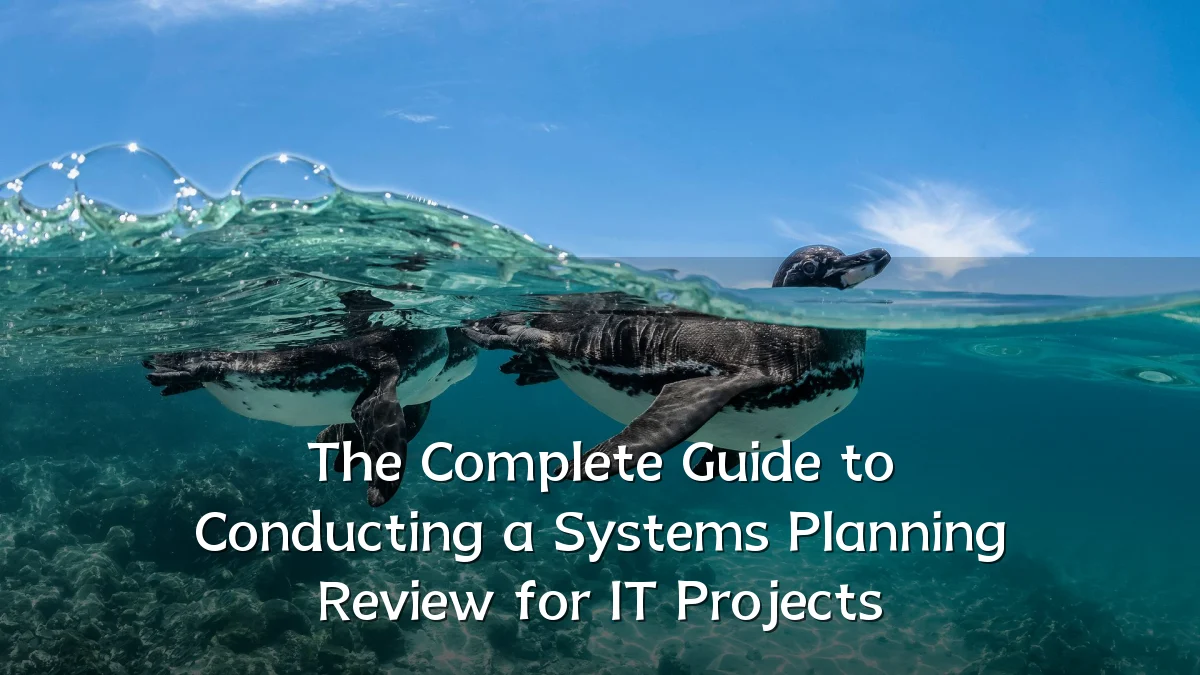 The Complete Guide to Conducting a Systems Planning Review for IT Projects