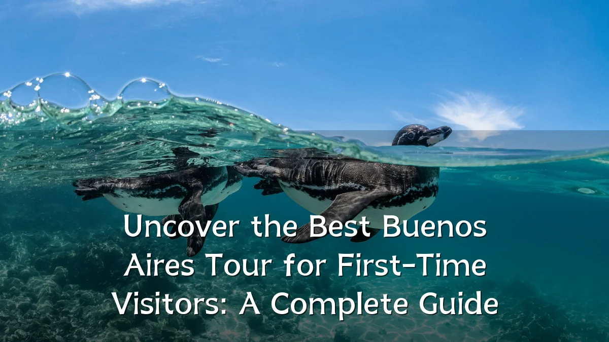 Uncover the Best Buenos Aires Tour for First-Time Visitors: A Complete Guide