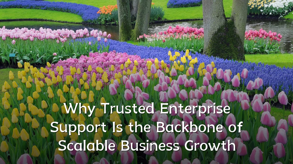 Why Trusted Enterprise Support Is the Backbone of Scalable Business Growth