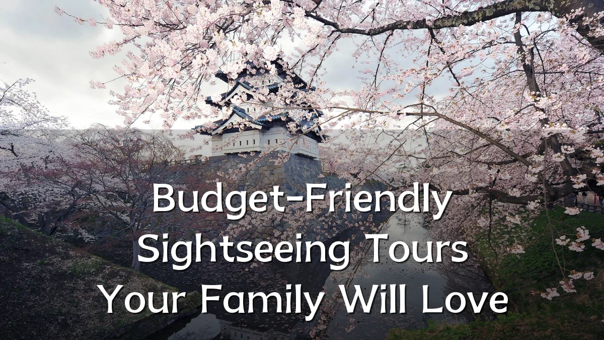 Budget-Friendly Sightseeing Tours Your Family Will Love
