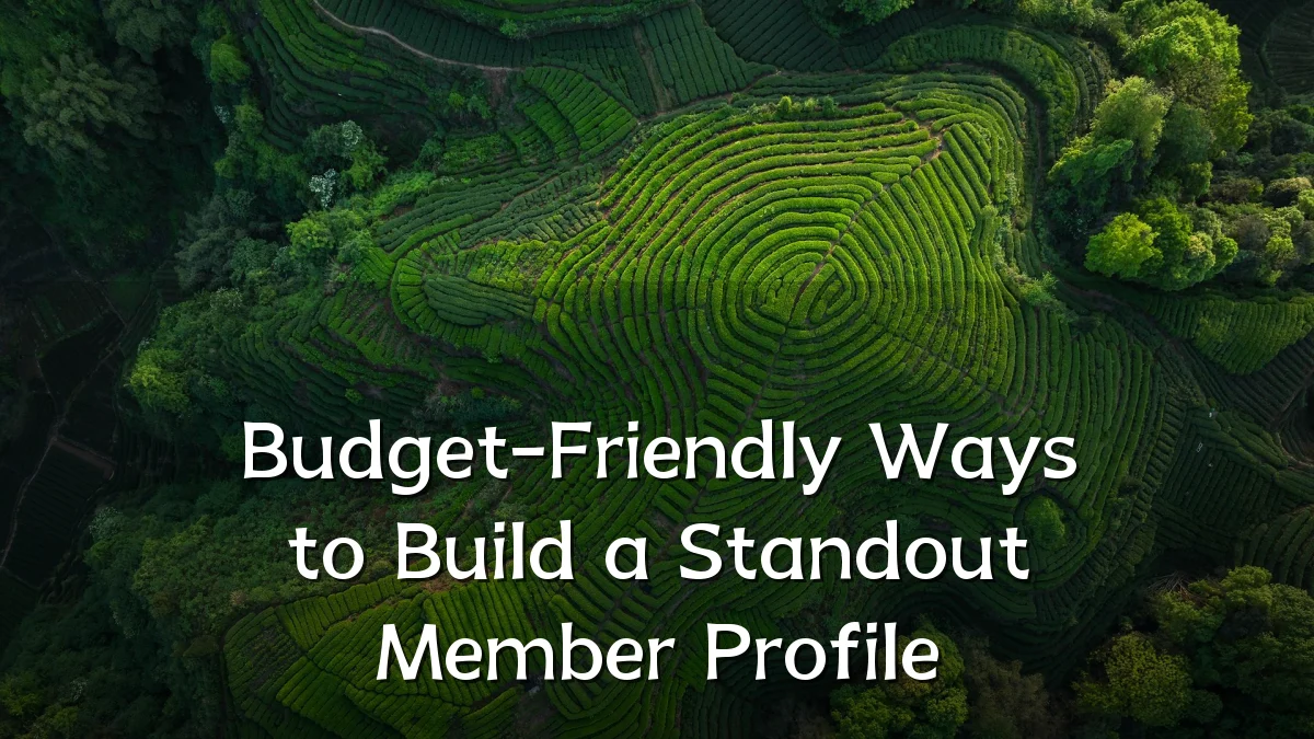 Budget-Friendly Ways to Build a Standout Member Profile