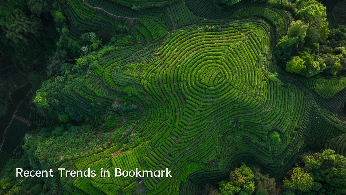 Recent Trends in Bookmark