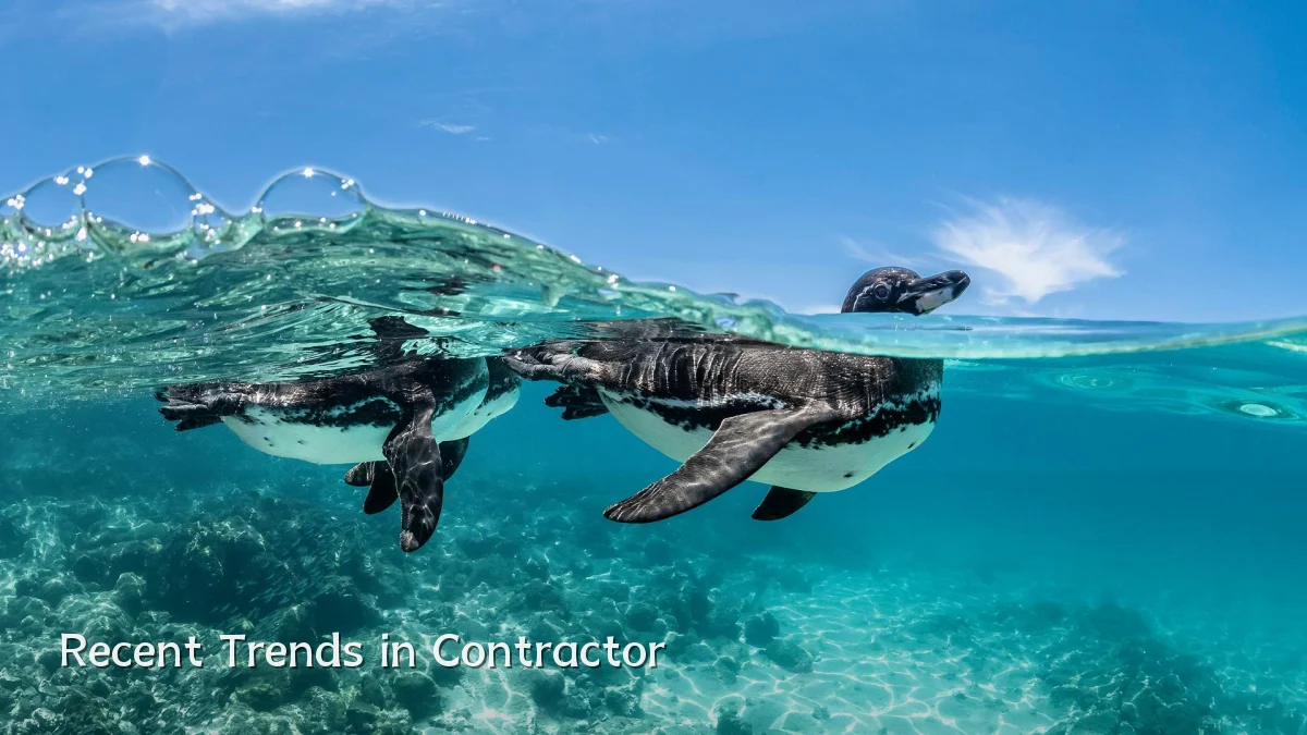 Recent Trends in Contractor