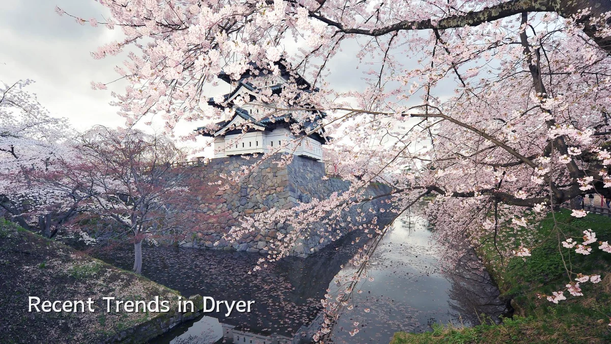 Recent Trends in Dryer