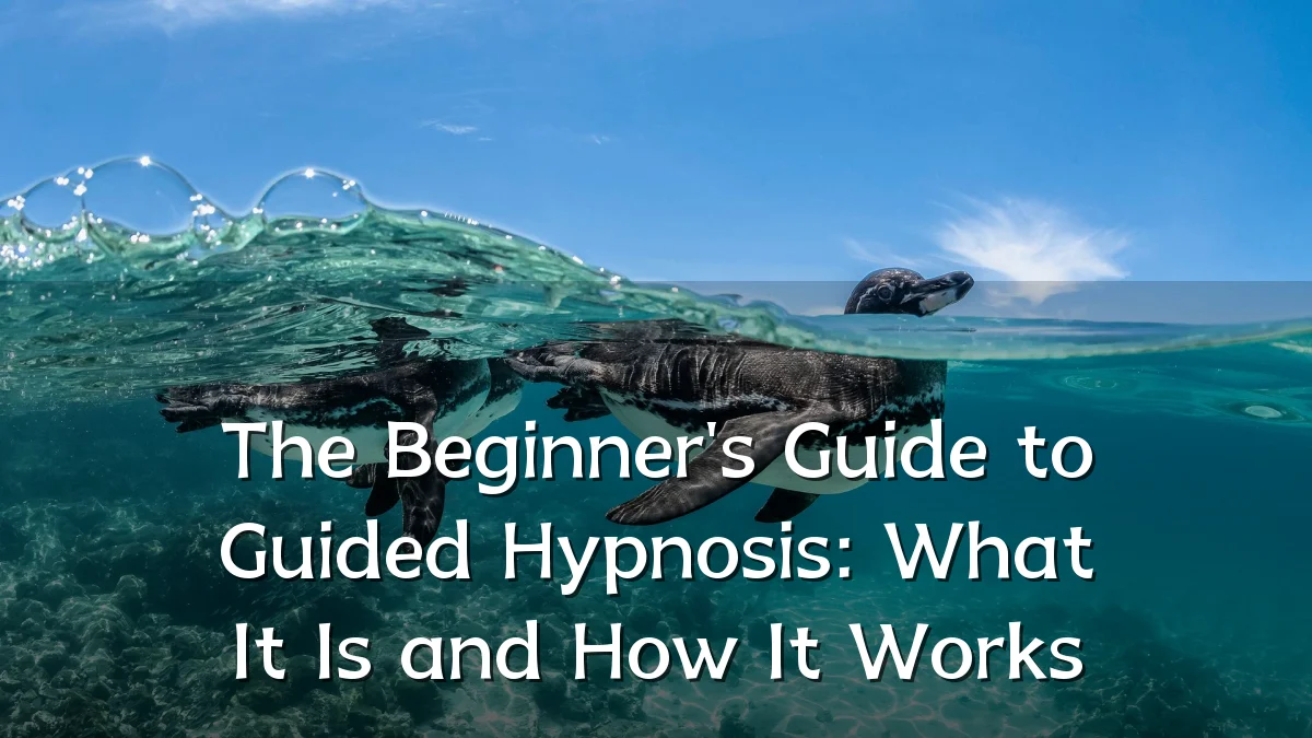 The Beginner's Guide to Guided Hypnosis: What It Is and How It Works