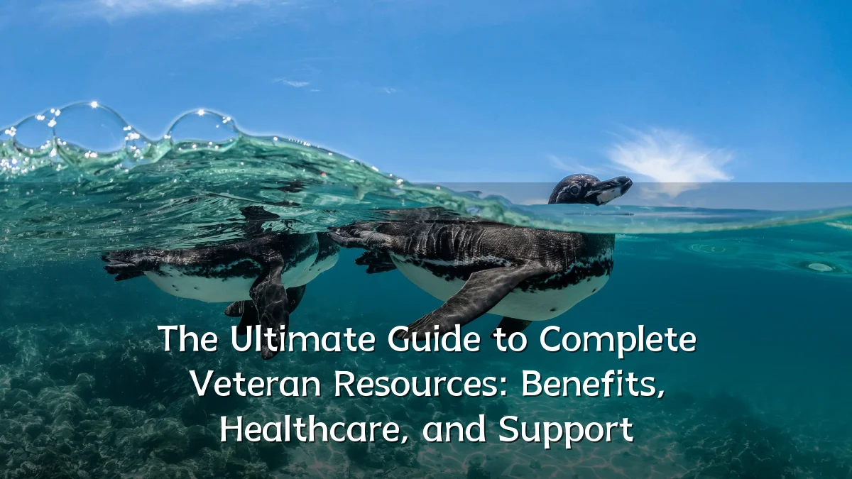 The Ultimate Guide to Complete Veteran Resources: Benefits, Healthcare, and Support
