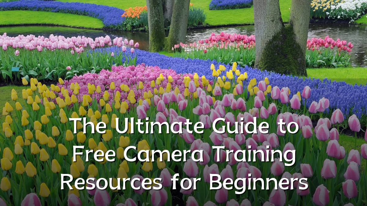 The Ultimate Guide to Free Camera Training Resources for Beginners